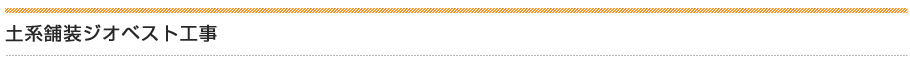土系舗装ジオベスト工事
